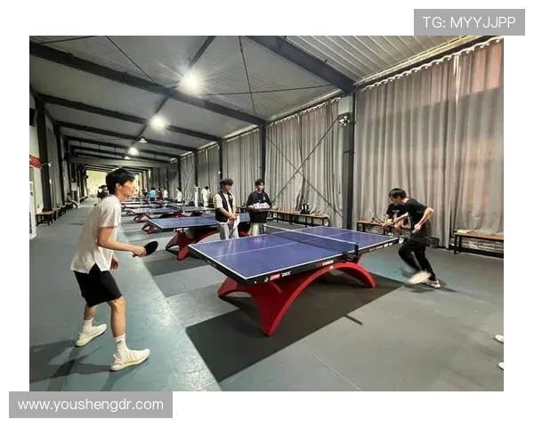 南京乒乓球队心理素质分析与提升策略探讨