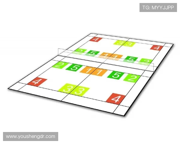 深圳羽毛球队反击战术深度分析与实战应用探讨 深圳羽毛球队反击战术深度分析与实战应用探讨