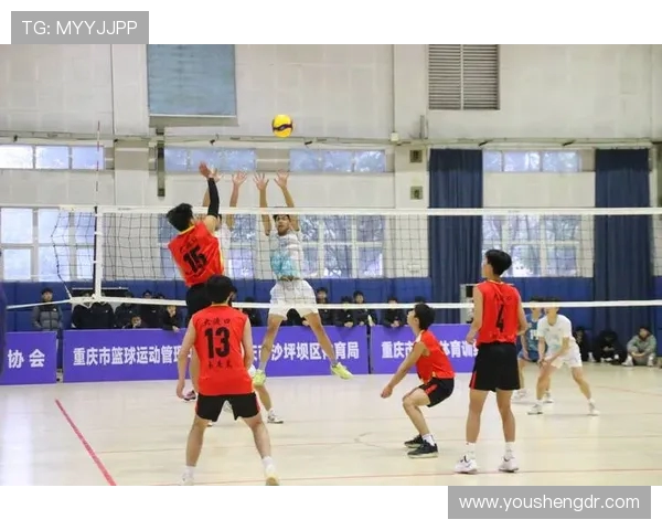 重庆排球队在排球节奏排名中创下新高引发全城关注与热议