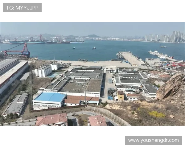 青岛西海岸发展新机遇探索：打造现代化滨海经济带与创新产业集群