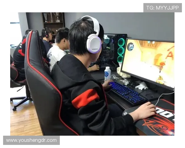 Danawa电子竞技绝地求生团队全面分析与战术探讨