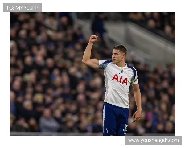 2019年埃弗顿对热刺比赛前瞻与胜负预测分析